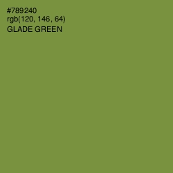 #789240 - Glade Green Color Image